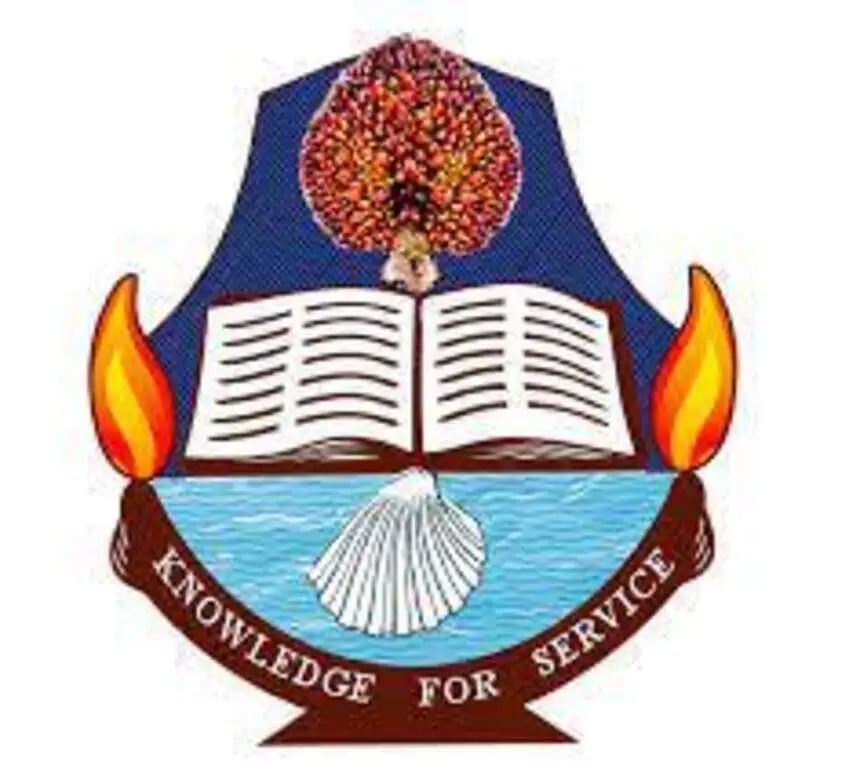 courses offered at Unical