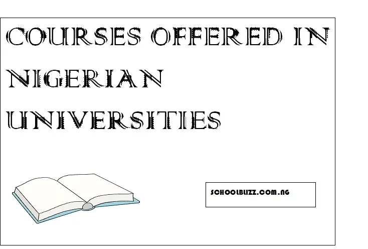 Universities Offering Petroleum and Gas engineering in Nigeria